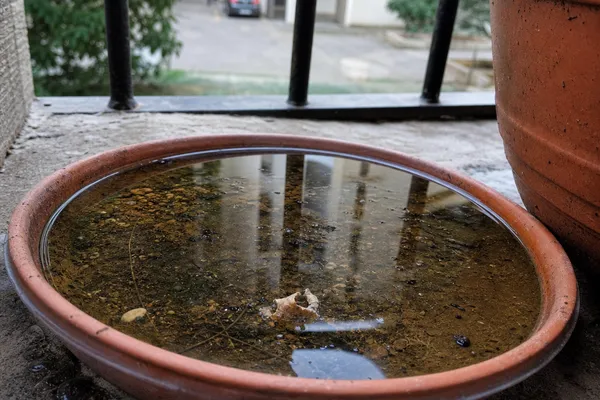 Sottovasi e ristagni